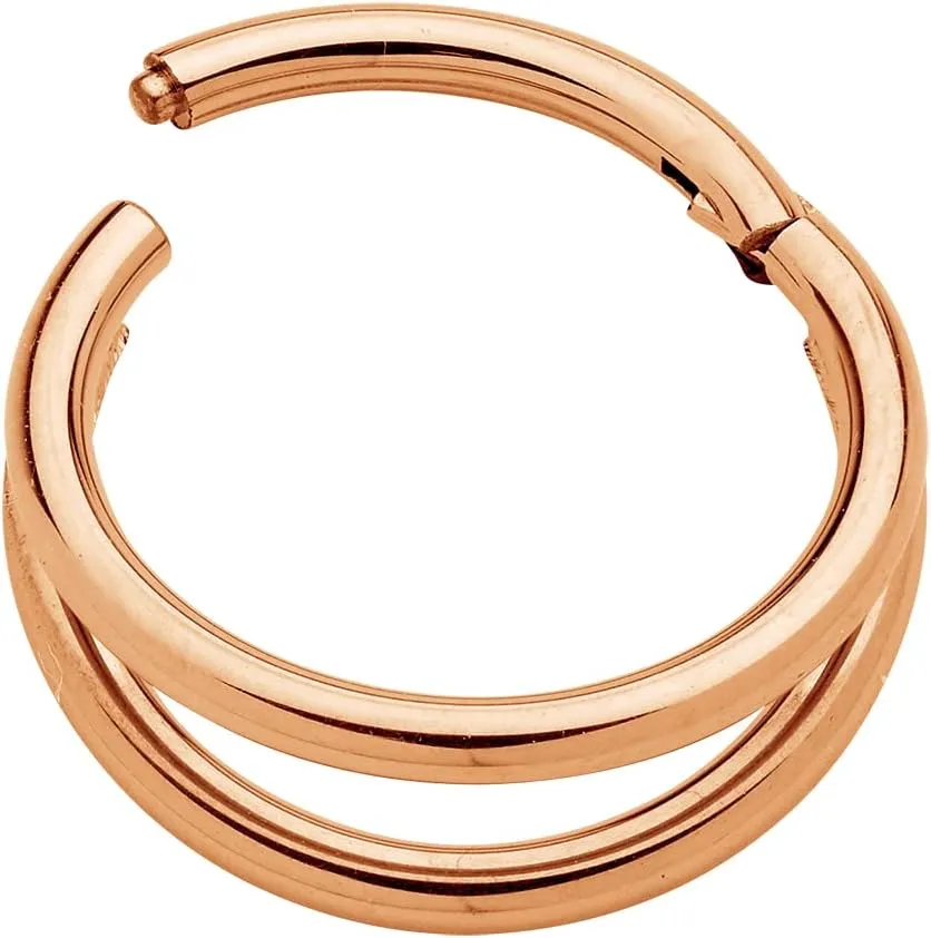 365 Sleepers Titanium Implant Grade 16G Double Septum Jewelry Hinged Segment Ring Body Piercing Hoop Lip Rings Helix Cartilage Rook Sleeper Earrings 8mm  12mm