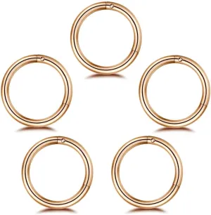 5Pcs Stainless Steel 16G 18G Sleeper Hoop Earrings for Women Men Septum Hinged Clicker Nose Lip Ring Helix Daith Cartilage Tragus Piercings Tiny Small Huggie Hoops Hypoallergenic Sensitive Ears Jewelry