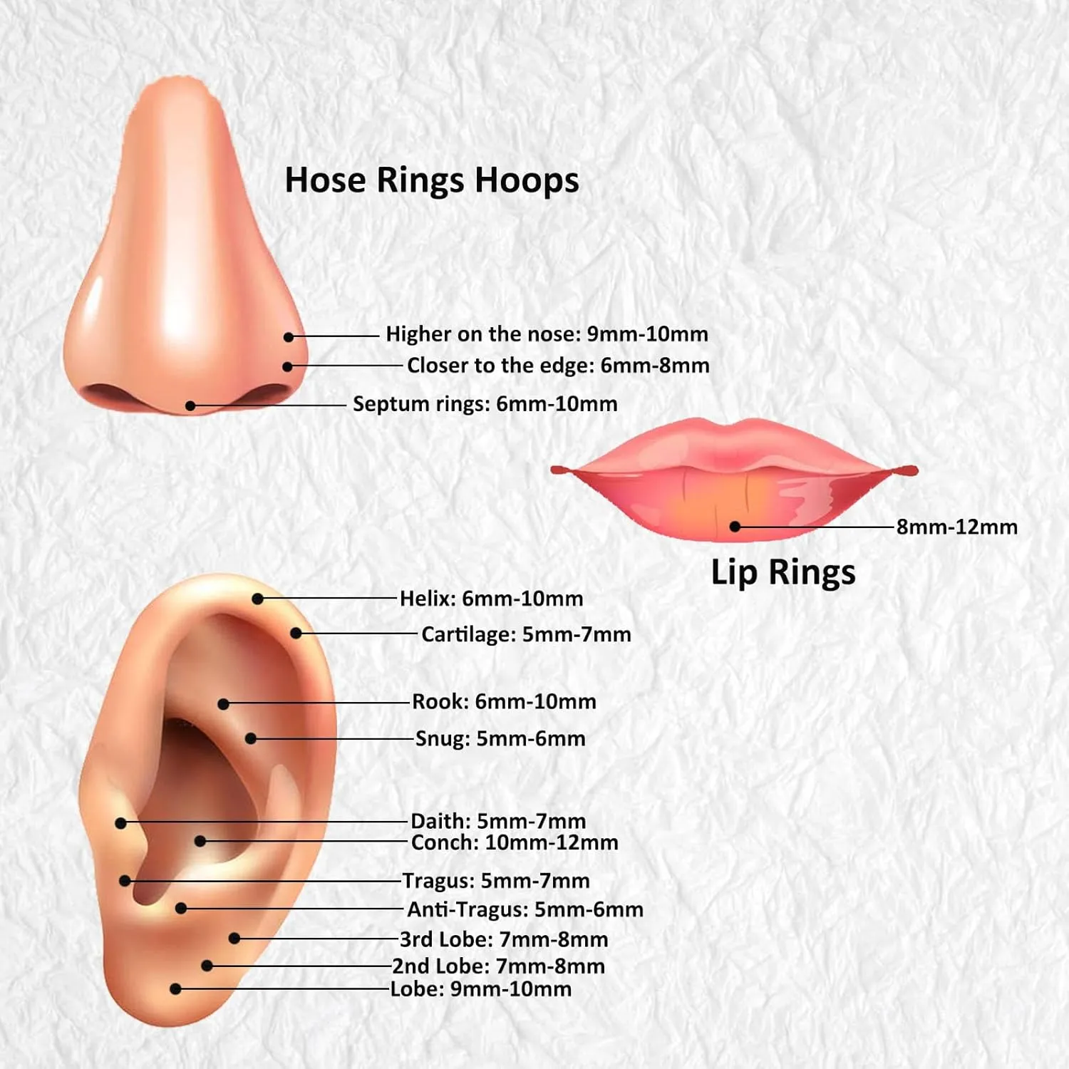 6/12Pcs 16G 18G 20G Nose Rings Hoops 316L Surgical Steel Nose Septum Lip Rings Tragus Cartilage Daith Rook Piercing Jewelry for Women 6mm 7mm 8mm 9mm 10mm 12mm