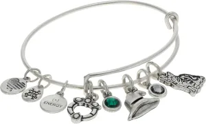 Alex and Ani AS622122Expandable Bangle BraceletRS,Harry Potter, Professor McGonagall Multi Charm Expandable Bangle Bracelet,Rafaelian Silver,Green, Bracelets
