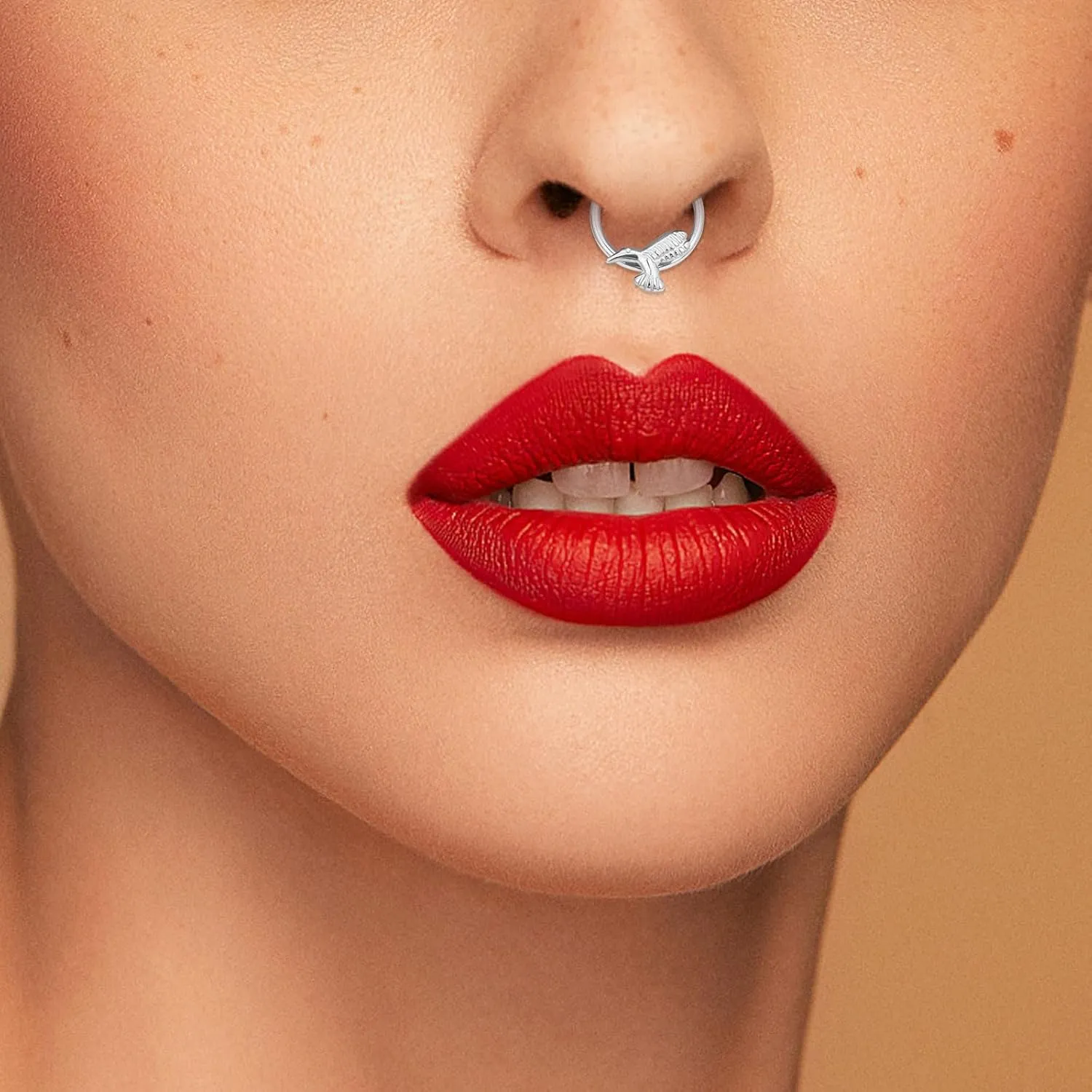 G23 Titanium Septum Rings Hypoallergenic Nose Rings Cubic Zirconia Cartilage Helix Earrings Hinged Segment Seamless Clicker Nose Rings Daith Piercing Jewelry