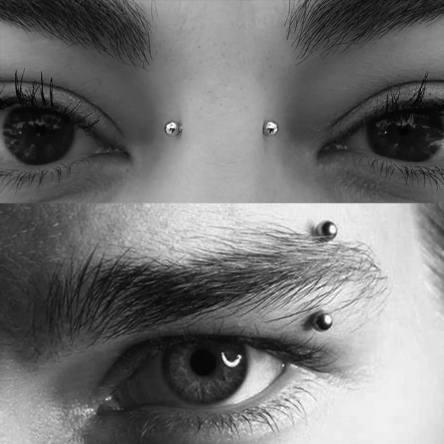 MODRSA Rook Piercing Jewelry Rook Earrings for Women Eyebrow Rings Surgical Steel Vertical Labret Jewelry 16g 14g Curved Barbell Snug Daith Surface Tragus Piercing Jewelry Silver Gold