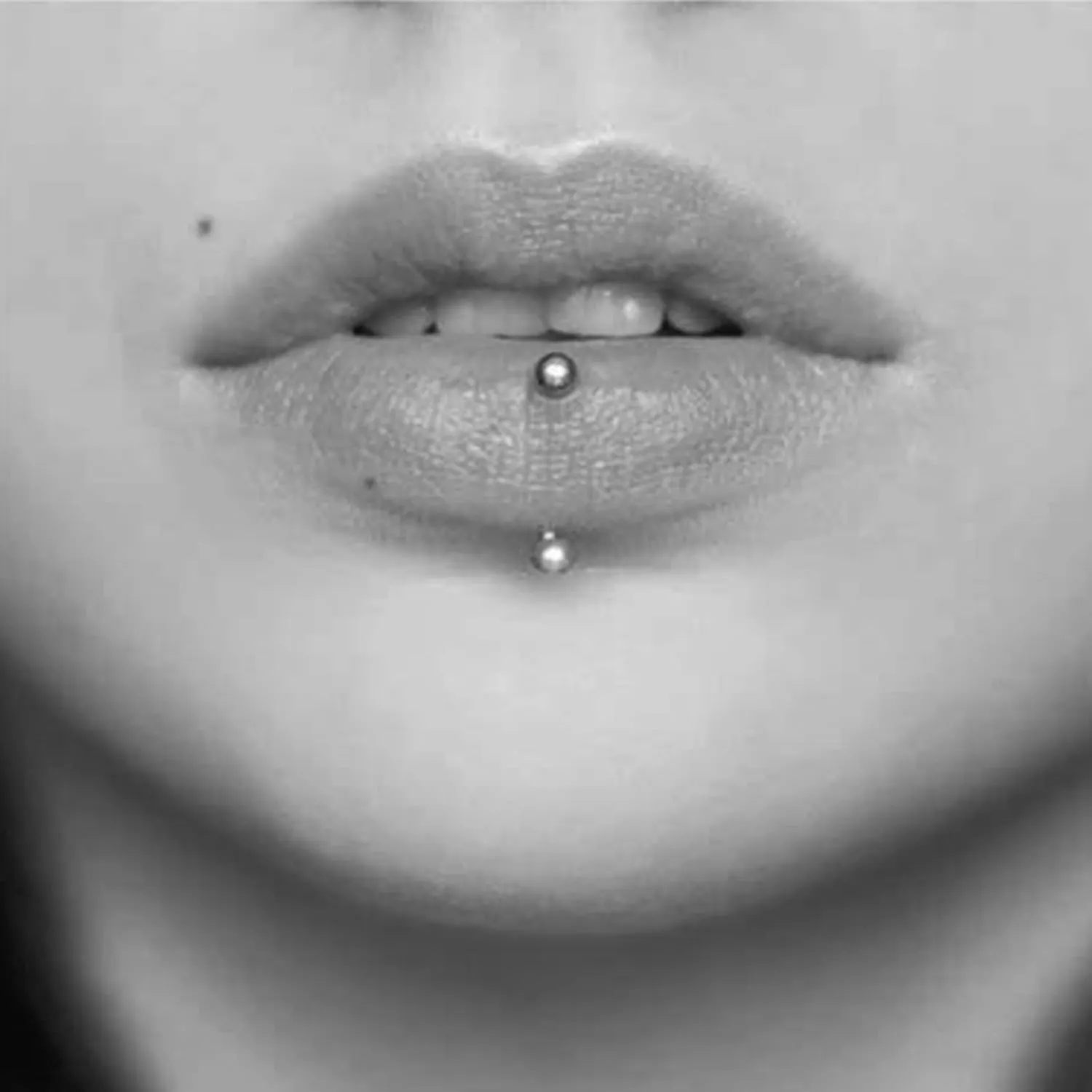 MODRSA Rook Piercing Jewelry Rook Earrings for Women Eyebrow Rings Surgical Steel Vertical Labret Jewelry 16g 14g Curved Barbell Snug Daith Surface Tragus Piercing Jewelry Silver Gold