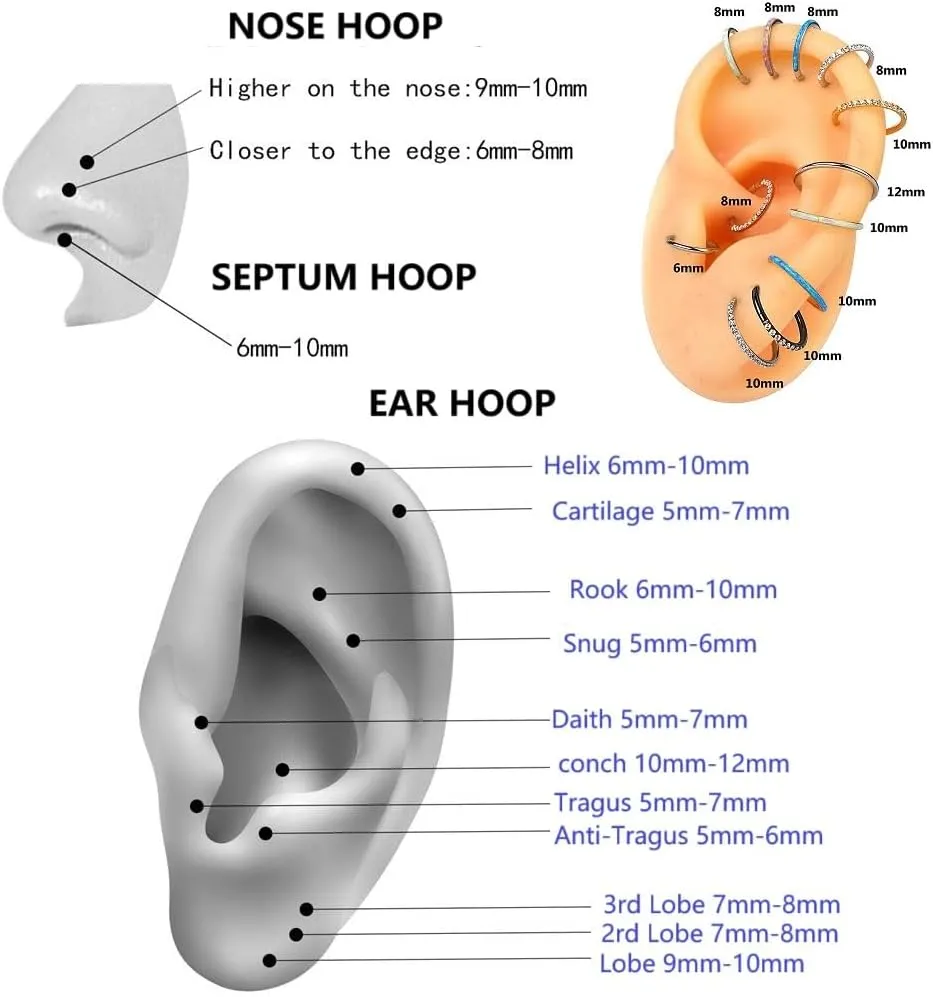 Nose Rings Hoops - 316L Surgical Steel Double Hoop Nose Rings 14G/16G/18G/20G Hinged CZ Conch Piercing Jewelry Septum Lip Rings Cartilage Earring Helix Rook Tragus Daith 6mm/8mm/10mm/12mm