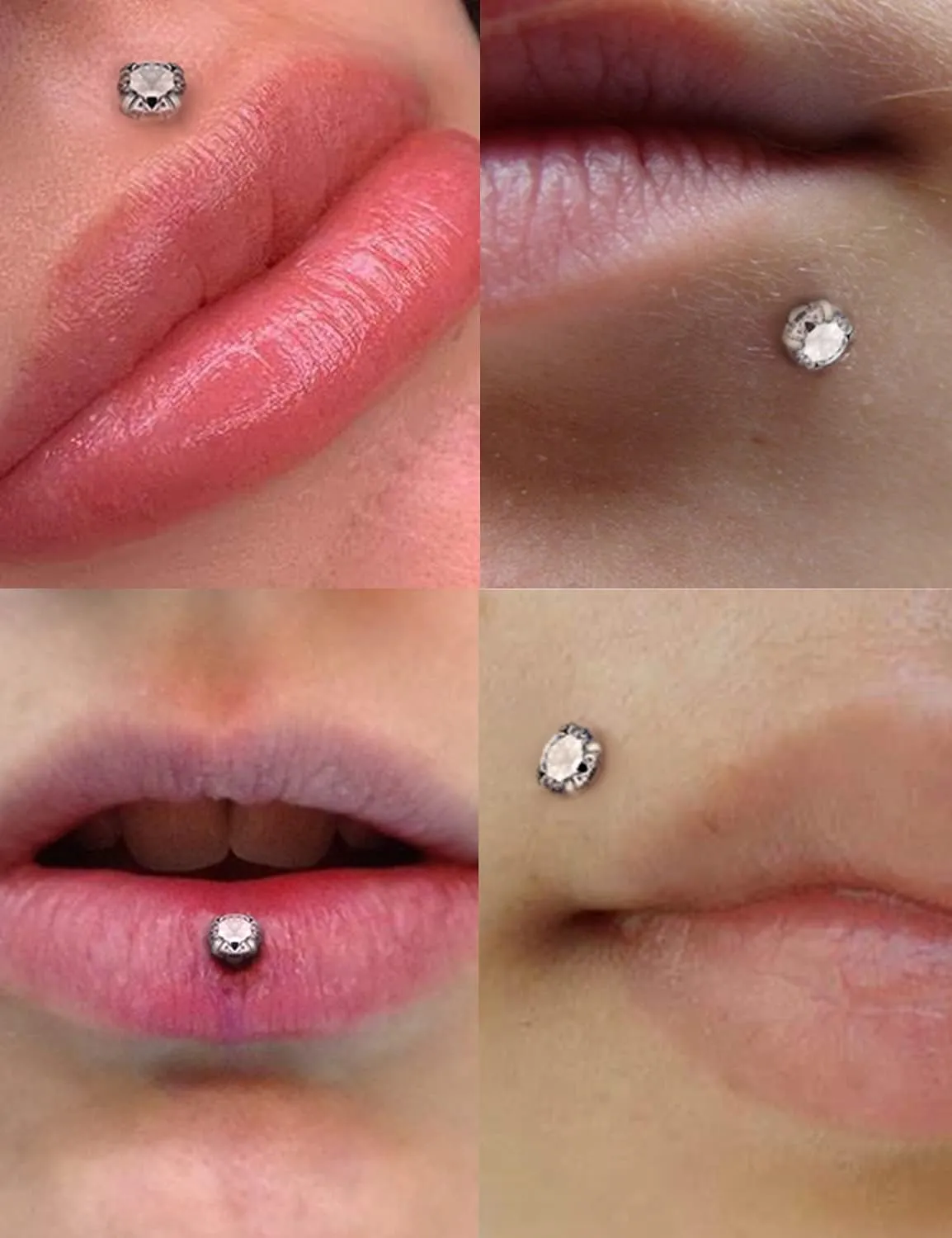 Vsnnsns 16G Lip Rings Stainless Steel Tragus Helix Conch Piercing Jewelry Snake Bite Piercing Monroe Lip Rings Labret Medusa Cartilage Lobe Earrings Studs Piercing Jewelry 6MM 8MM 10MM Silver