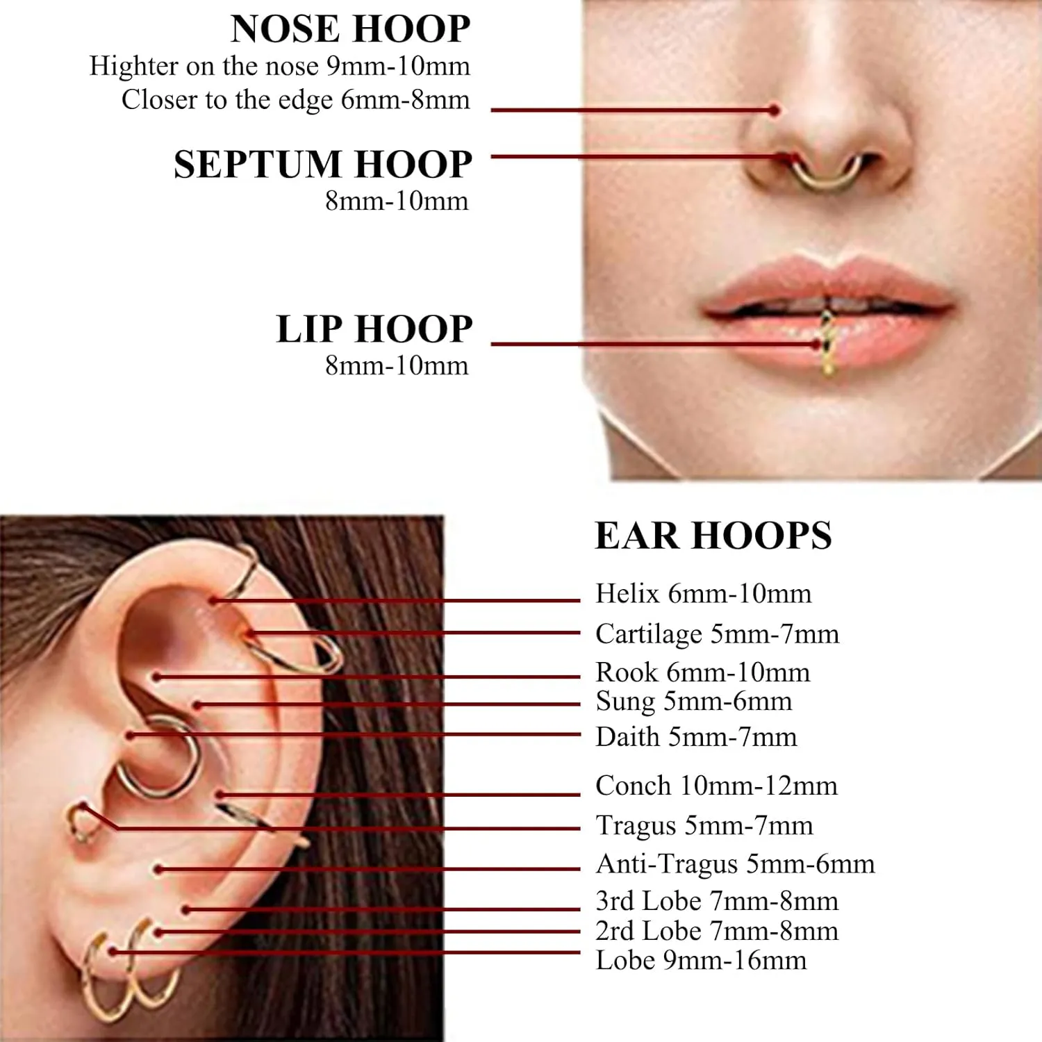 Xpircn Nose Rings 20G 18G 16G 14G Lip Septum Rings 316L Surgical Steel Tragus Daith Cartilage Earrings for Women Nose Ring Hoop Hinged Segment Ring Nose Piercing Jewelry